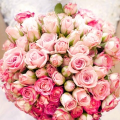 Юлия Филашкина, Котельники