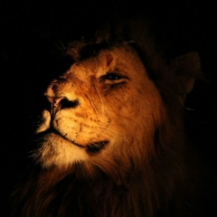 Sherzodshohi Shamsidin, 03.02, Самара