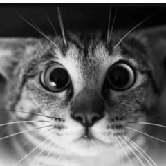 Мария Скачкова, Челябинск