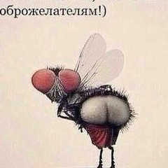 Владимир Мухин, 22.12.1982, Киев