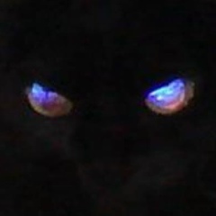 Михаил Слежка