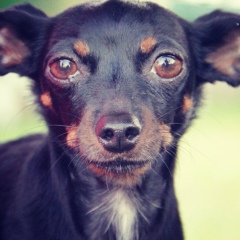 Елизавета Бергер, 25.06, Москва