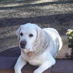 Виктория Катарыгина, 10.11, Санкт-Петербург