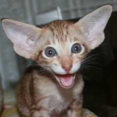 Ирина Минина, 02.09, Санкт-Петербург