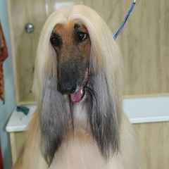 Оля Наконечная, 27.08.1991, Киев