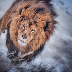 Фахриддин Зарипов, 12.11.1994, Алматы