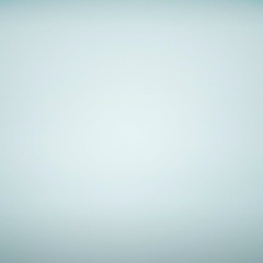 Милашка Чуй, Санкт-Петербург