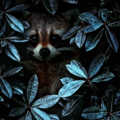 Денис Воронов, 29.11.1991, Самара