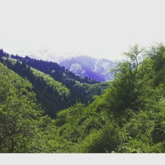 Адиль Мухамеджан, 04.08, Алматы