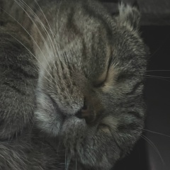 Александр К, 25.05