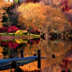 Муса Кодзоев, 17.02.1940, Назрань