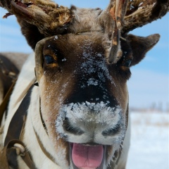 Андрей Андрианов, 28.01.1986, Москва
