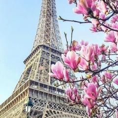 Седа Улибаева, 08.11.1988, Талдыкорган