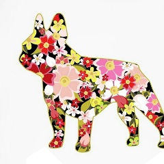 Александр Смирнов, 13.11.1986, Харьков