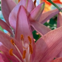 Mr Pavel, 09.10, Naypyidaw