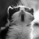 Владимир Соловьёв, 21.01.1988, Санкт-Петербург