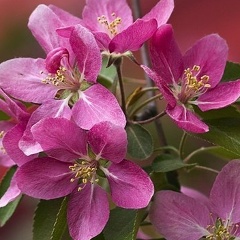 Людмила Кашина, 03.02, Феодосия