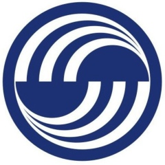 Владислав Шапарев