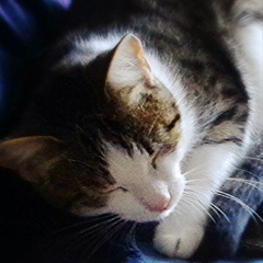 Олеся Литвиненко, 15.08