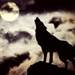 Валид Грозненский, 05.04.2001, Москва