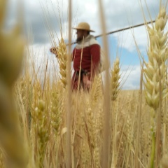 Игорь Никифоренко, 28.05, Кишинев