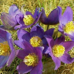 Егор Пилипенко, 04.11.1997, Новокузнецк