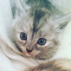 Андрей Яковлев, 03.05, Челябинск