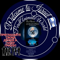 Ilona Perelzvaig, 15.08, Петах Тиква