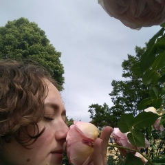 Александра Николаевна, Ростов-на-Дону