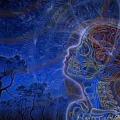 Бахтиер Асраров, 23.04.1971, Санкт-Петербург