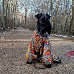 Светлана Бережецкая, 19.05, Пермь