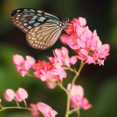 Айгерим Есмаганбетова, 02.03.1994, Семей