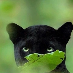 Юлия Юлия, 21.06, Самара