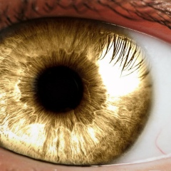 Дмитрий Петрович, 06.06.1973, Екатеринбург