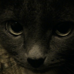 Денис Денисов, Кумертау