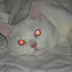 Полина Буймистрова, 22.09