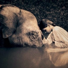 Диана Веселова, 14.11