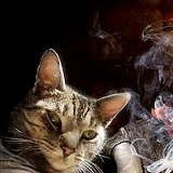 Николай Опарин, 19.01.1982, Санкт-Петербург