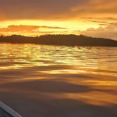 Илья Вишневский, Санкт-Петербург