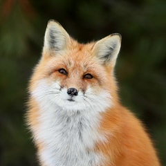 Иван Иванов, 01.01.1992, Тамбов