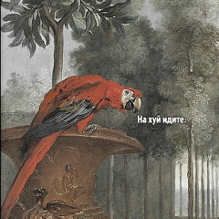 Даниил Никифоренко, 20.11