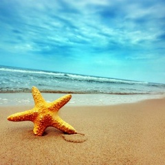 Анна Копаева, 04.04, Киев