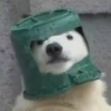 Дима Загоруйко, 28.05.1991, Киев