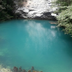 Алла Ананько, Санкт-Петербург