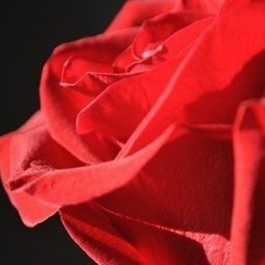 Ирина Хан, 20.12.1967, Алматы