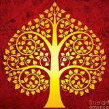 Дмитрий Косолапов, 26.07, Пенза