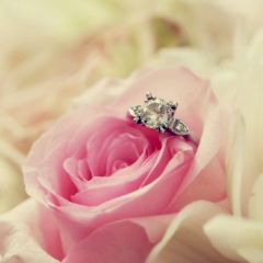 Ширина Юлдашева, 08.03, Джалал-Абад