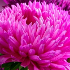 Светлана Замятина, 02.02, Киев