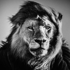 Taron Makyan, 20.05, Москва