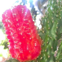 Альфира Нигматова, 28.04, Талдыкорган